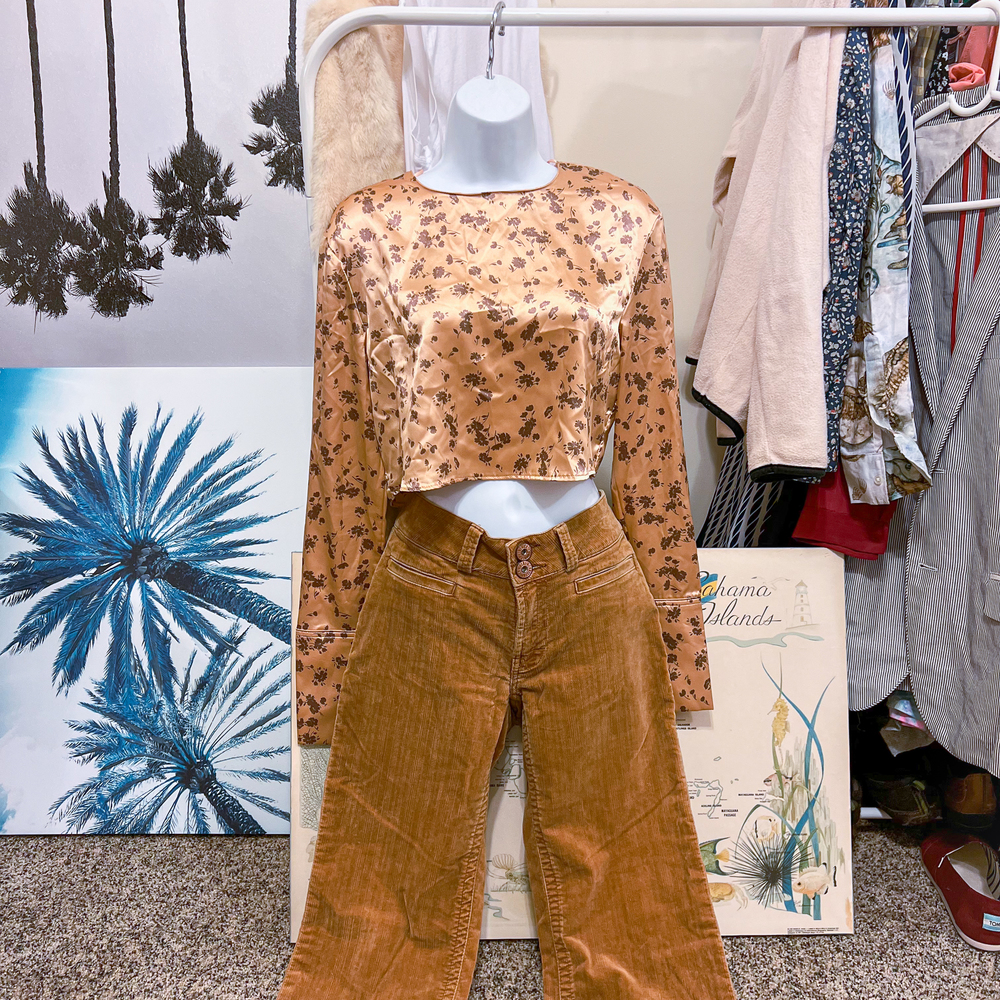 Zara Long Sleeve Crop Top